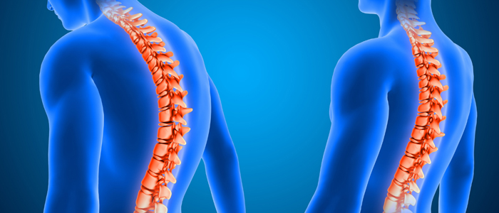 Orthopaedic Surgery